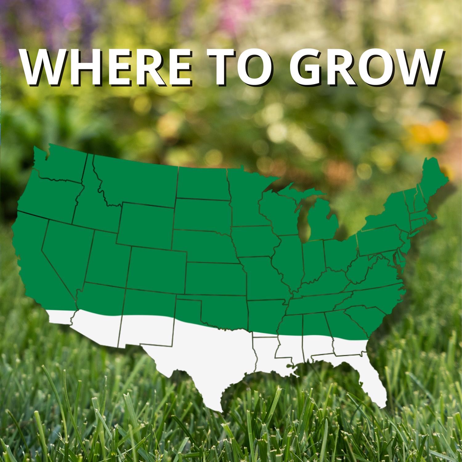 Jonathan Green (11460) Contractor’s Grass Seed – Cool Season Lawn Seed (50 lb)