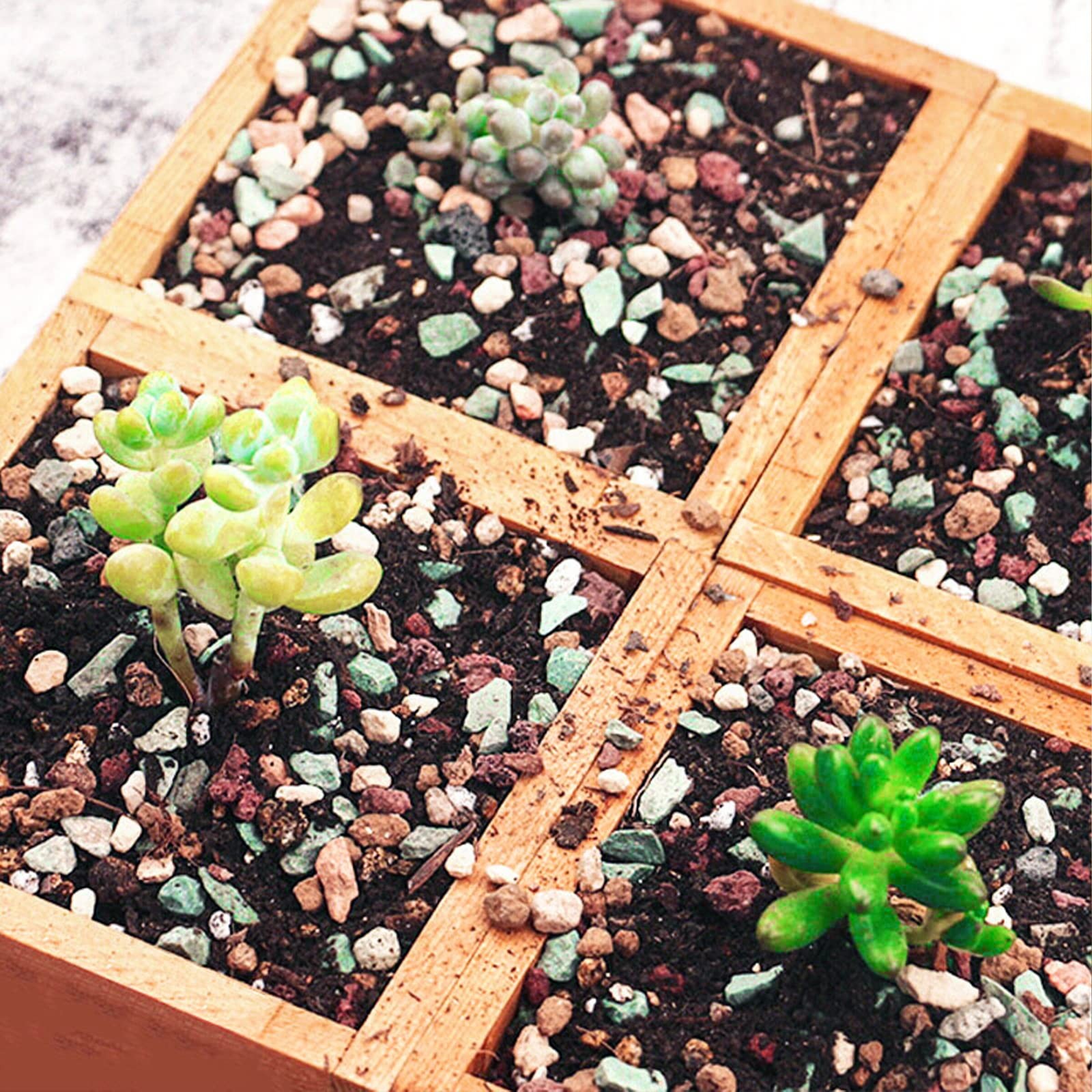 Doter Succulent and Cactus Soil Potting Mix 5.5 LBS, Bonsai lbs