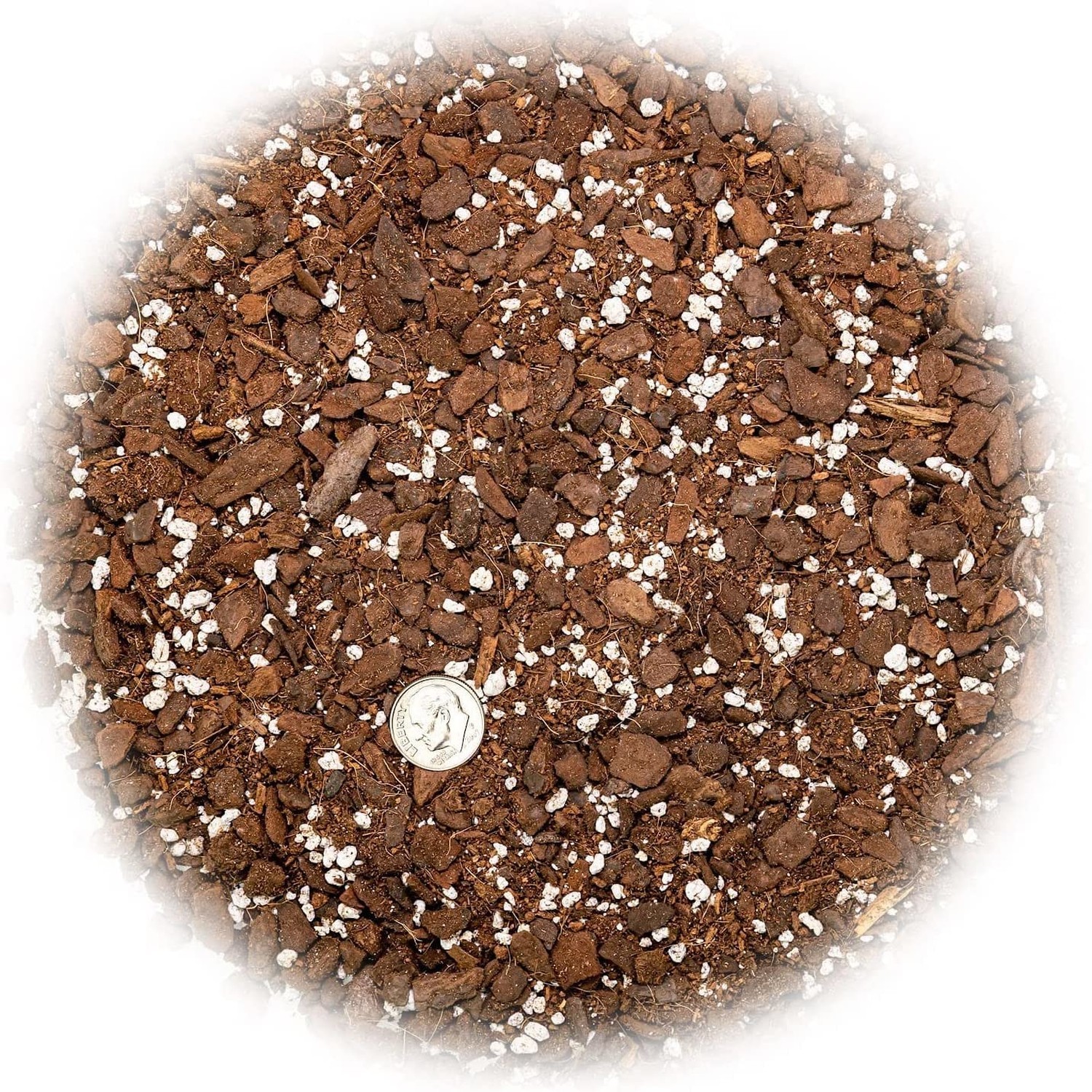 Albo Variegata Soil Blend – Hand-Crafted with The Finest Ingredient… Fast Ship
