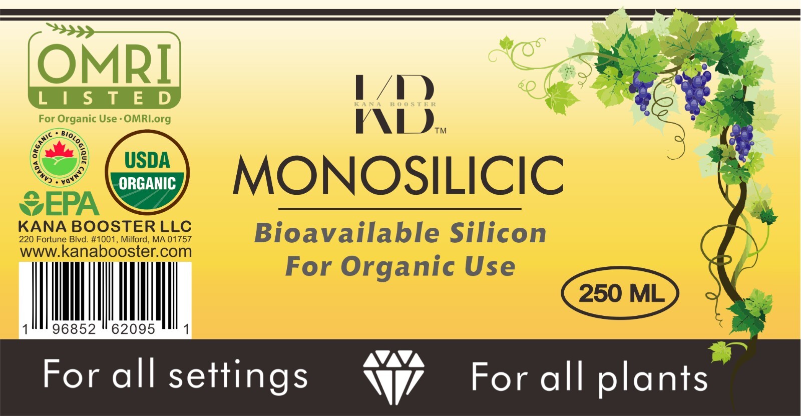 MonoSilicic 250mL – Powerful Bio-available Silicon for Organic use