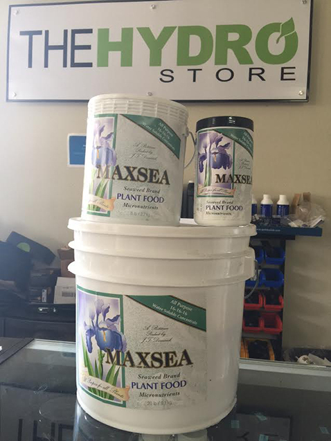 Maxsea 16-16-16 ALL PURPOSE Plant Food-Water Soluble Seaweed nutrient fertilizer