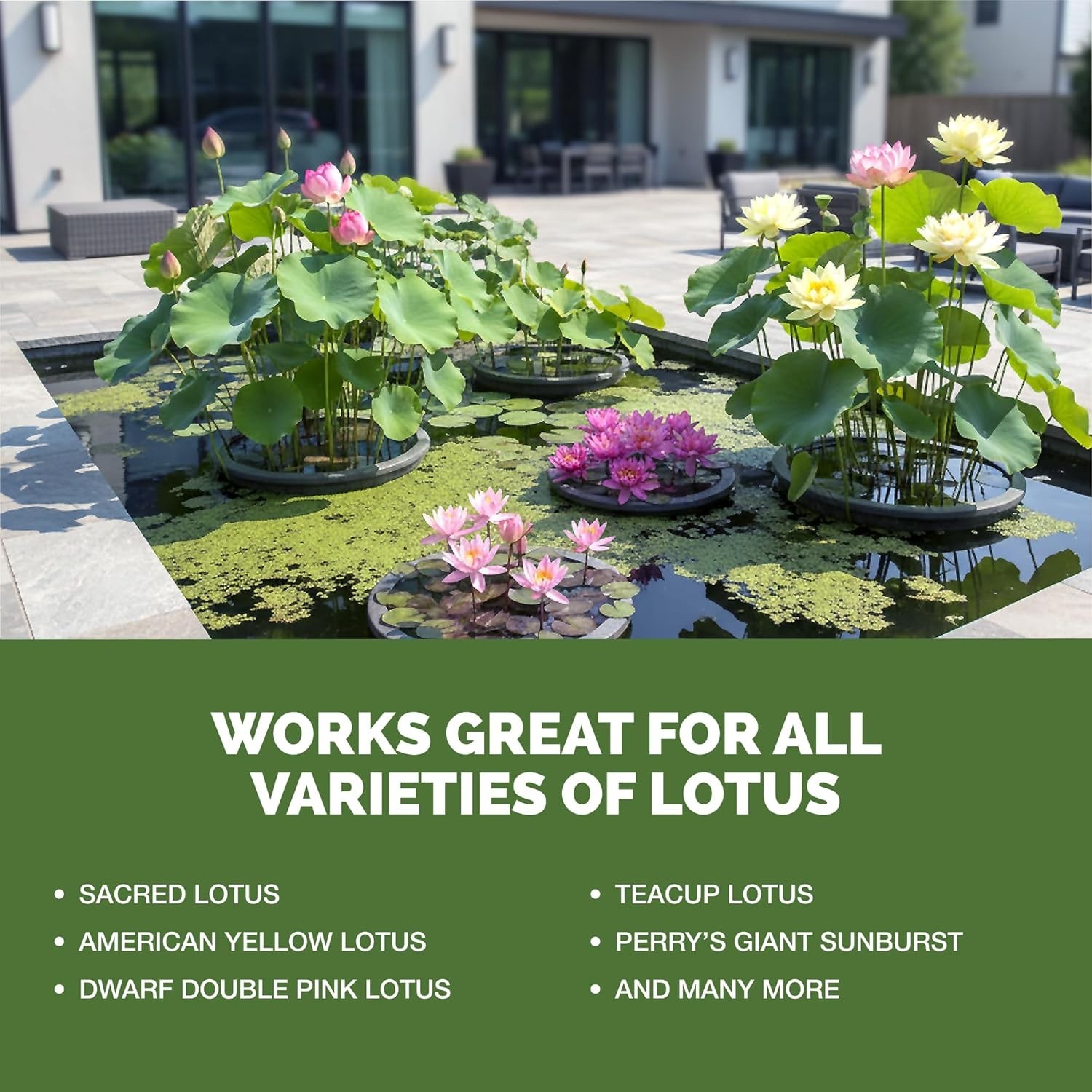 8 oz Liquid Lotus Fertilizer for Stronger Roots & Stunning Blooms – Made in USA