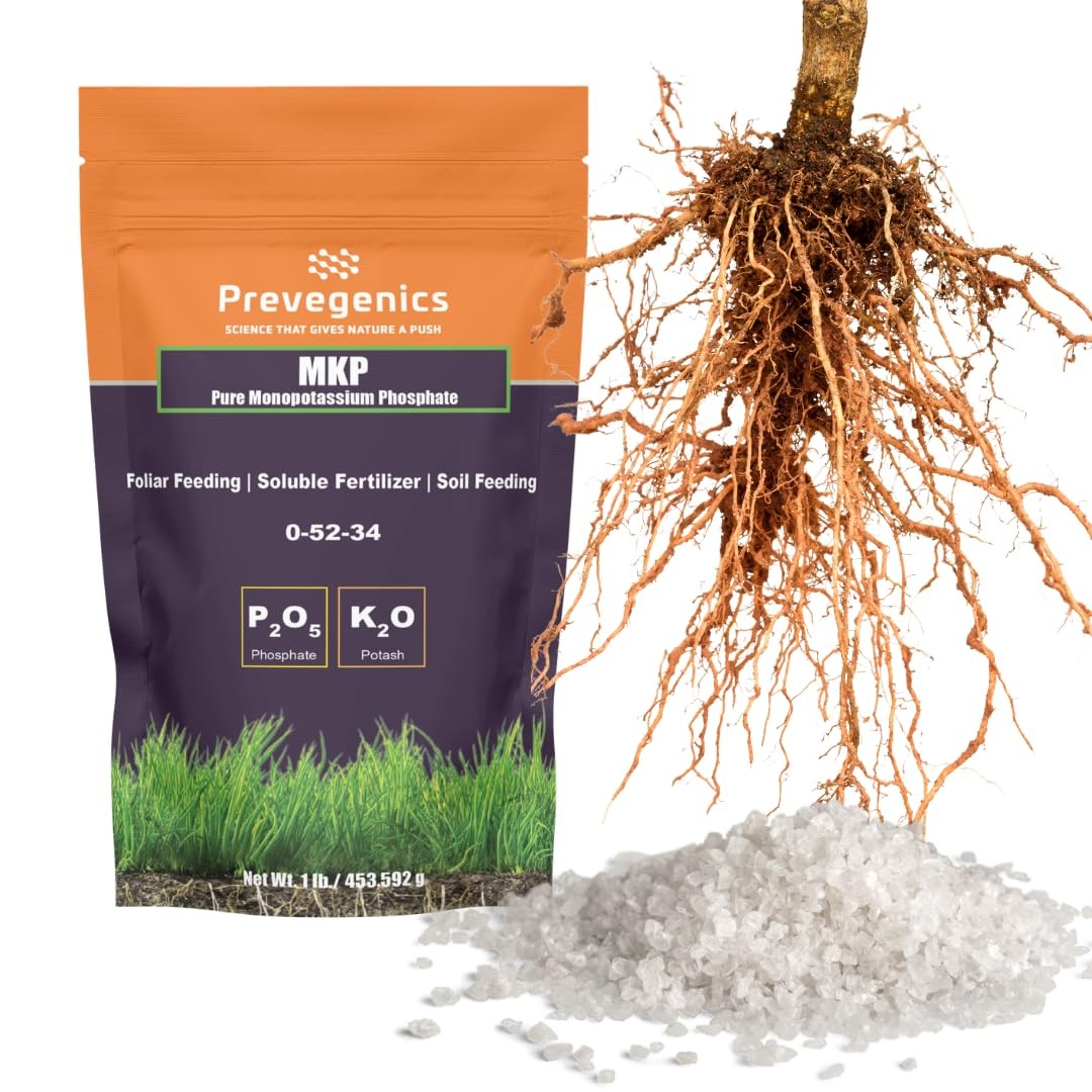 Monopotassium Phoshpate (MKP) Fertilizer | Highly Water Soluble | 0-52-34 (1 Pou