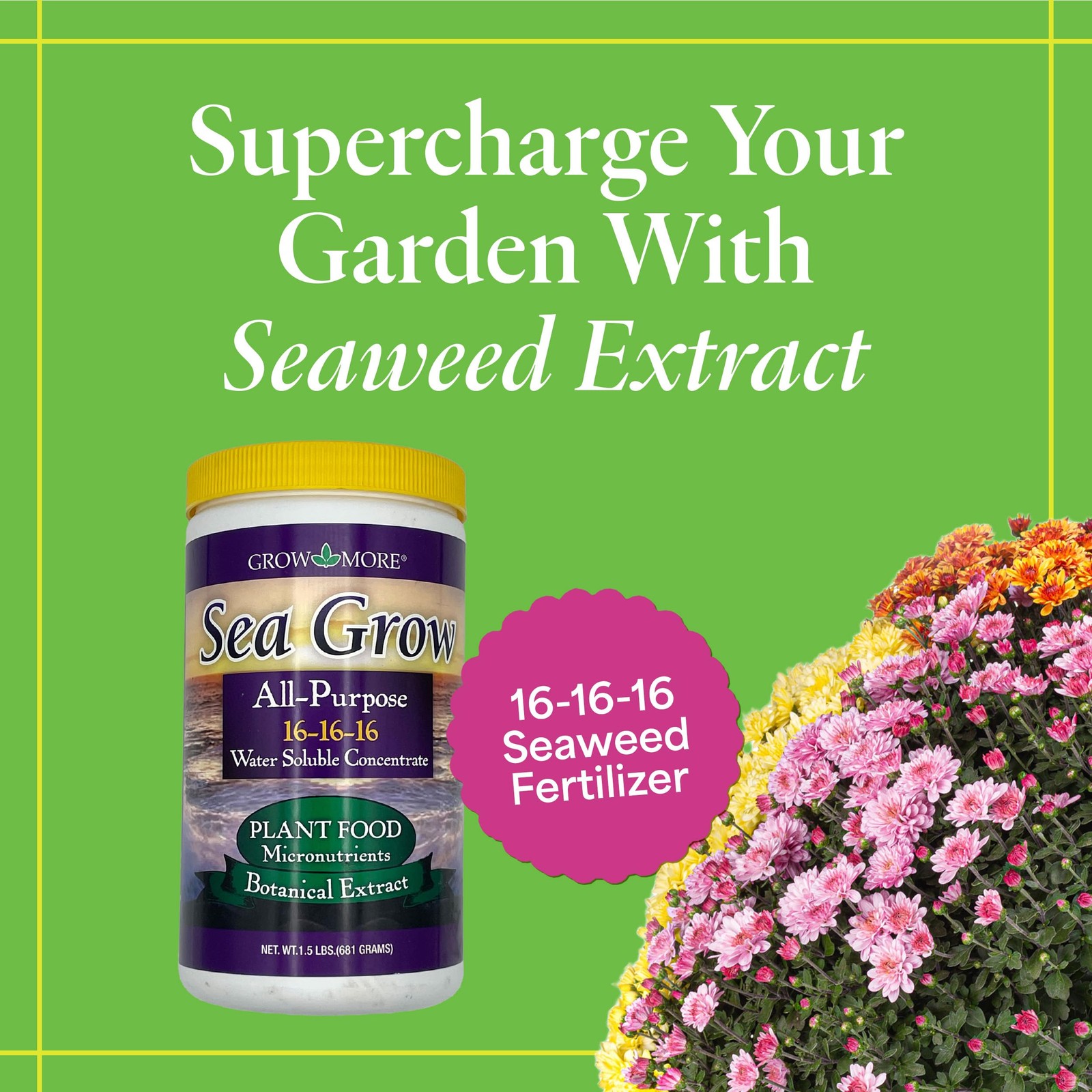 16-16-16 Seaweed Extract Fertilizer Supercharge Your Garden All Purpose 1.5Lbs