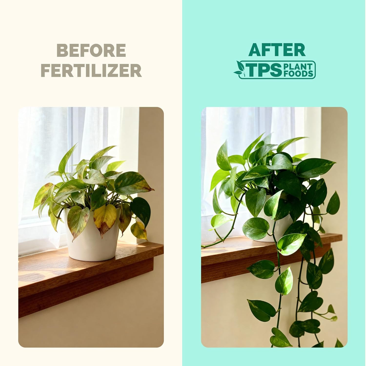 Indoor Plant Food – Liquid Fertilizer for Houseplants, New Growth, Greener Leave
