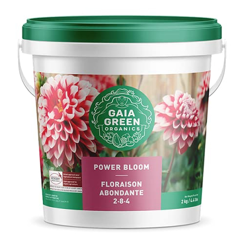 Hollandbasics 2-8-4 Power Bloom Fertilizer 2Kg