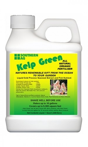 Kelp Green All natural Organic Fertilizer – Quart