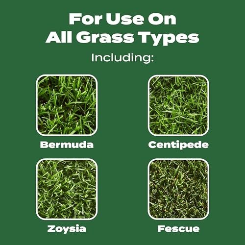 Lawn Fertilizer for All Grass Types – 15,000 sq ft Coverage, 37.5 lbs, Turf Buil