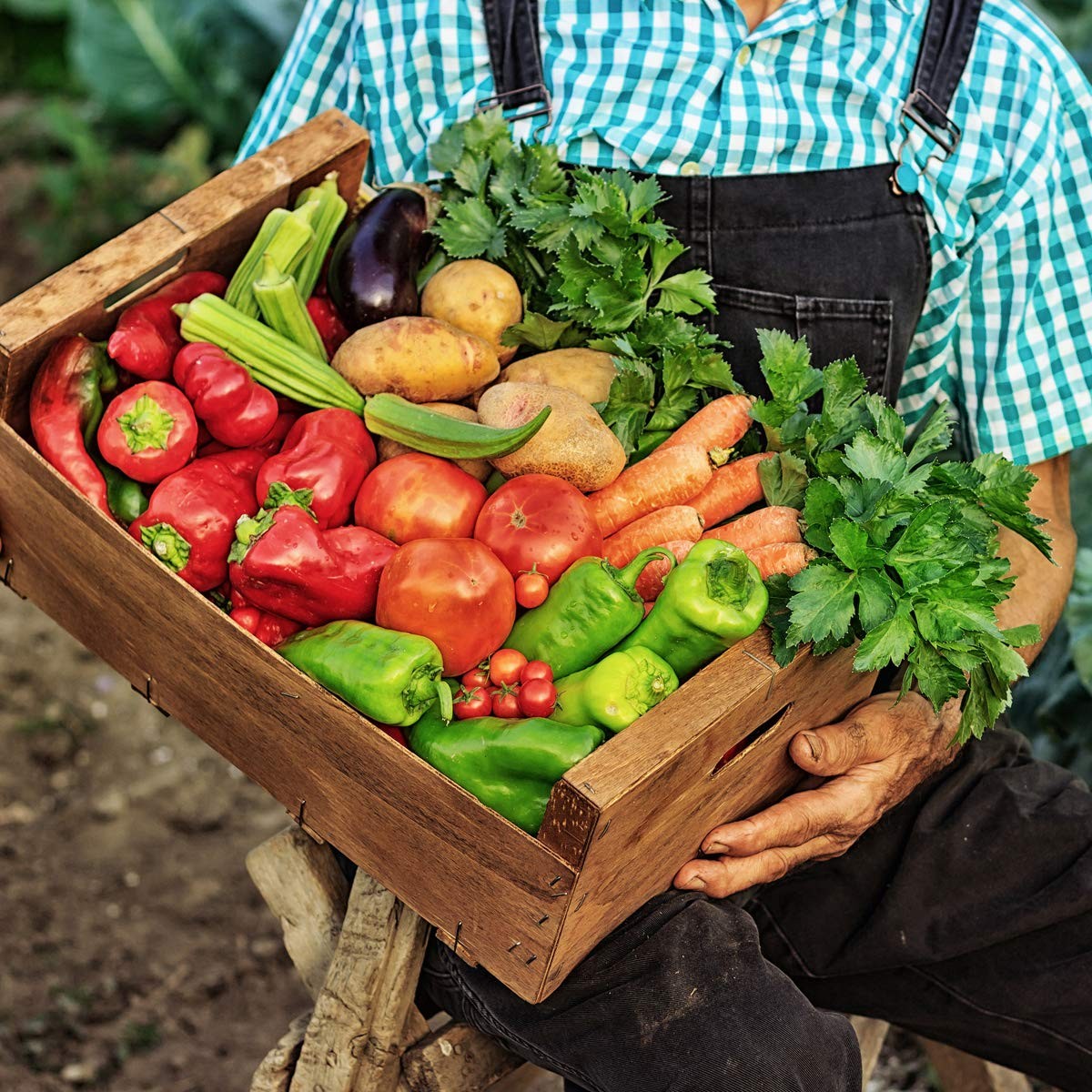 The Old Farmer’s Almanac Organic Tomato & Vegetable Plant Food Fertilizer