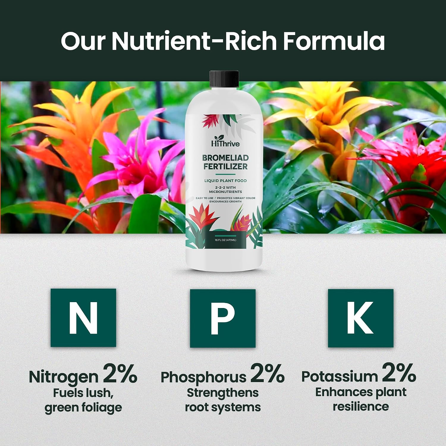 16Oz Bromeliad Fertilizer – Makes 24 Gallons of Liquid Bromeliad Plant Fertilize