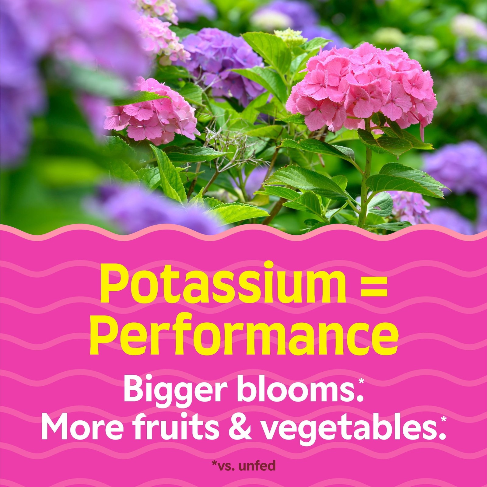 0‑10‑10 Concentrated Plant Food, 1 gal. Garden‑use Liquid Plant Nutrition Supply