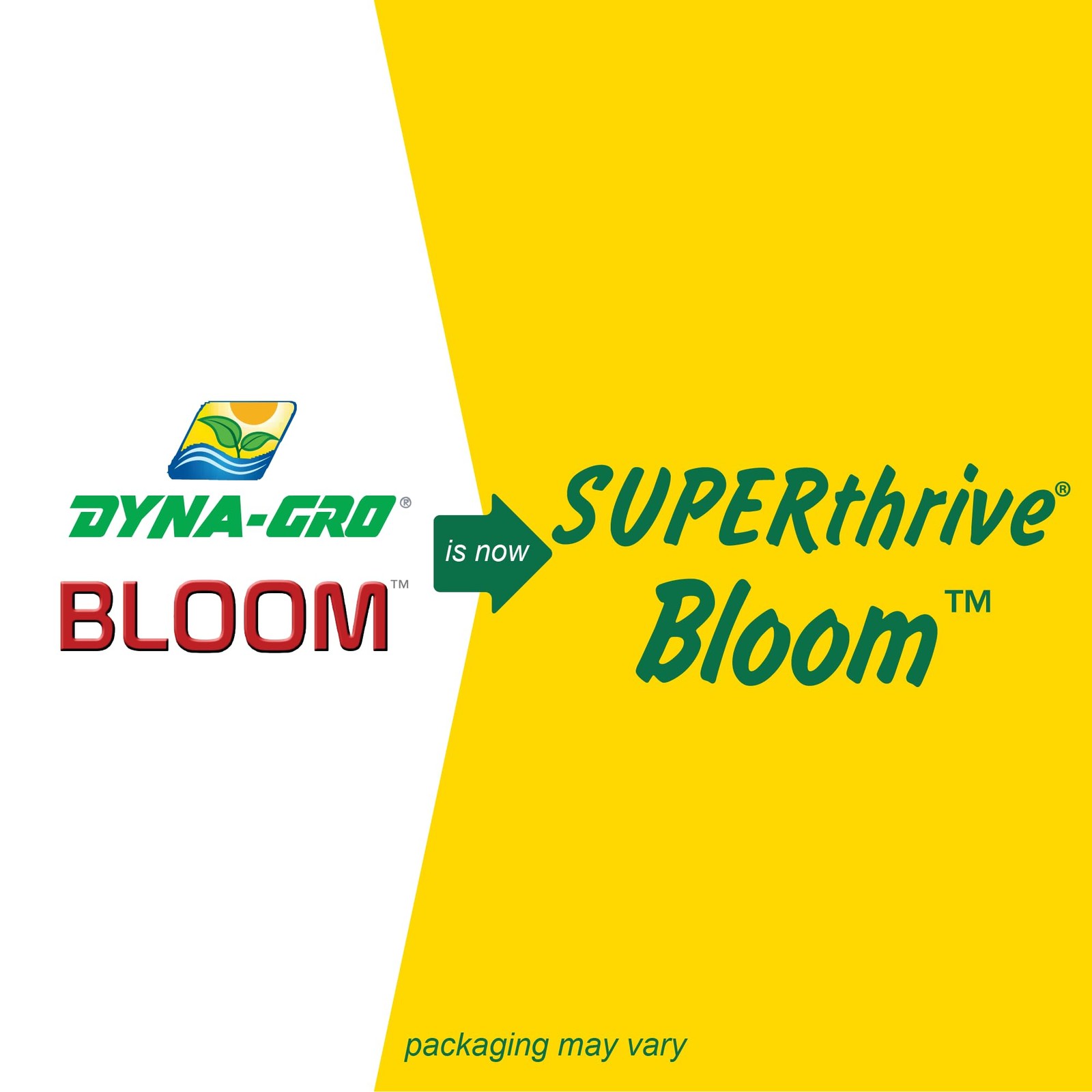 “Bloom Plant Food 3126 for Thriving Gardens 1 Quart Size”