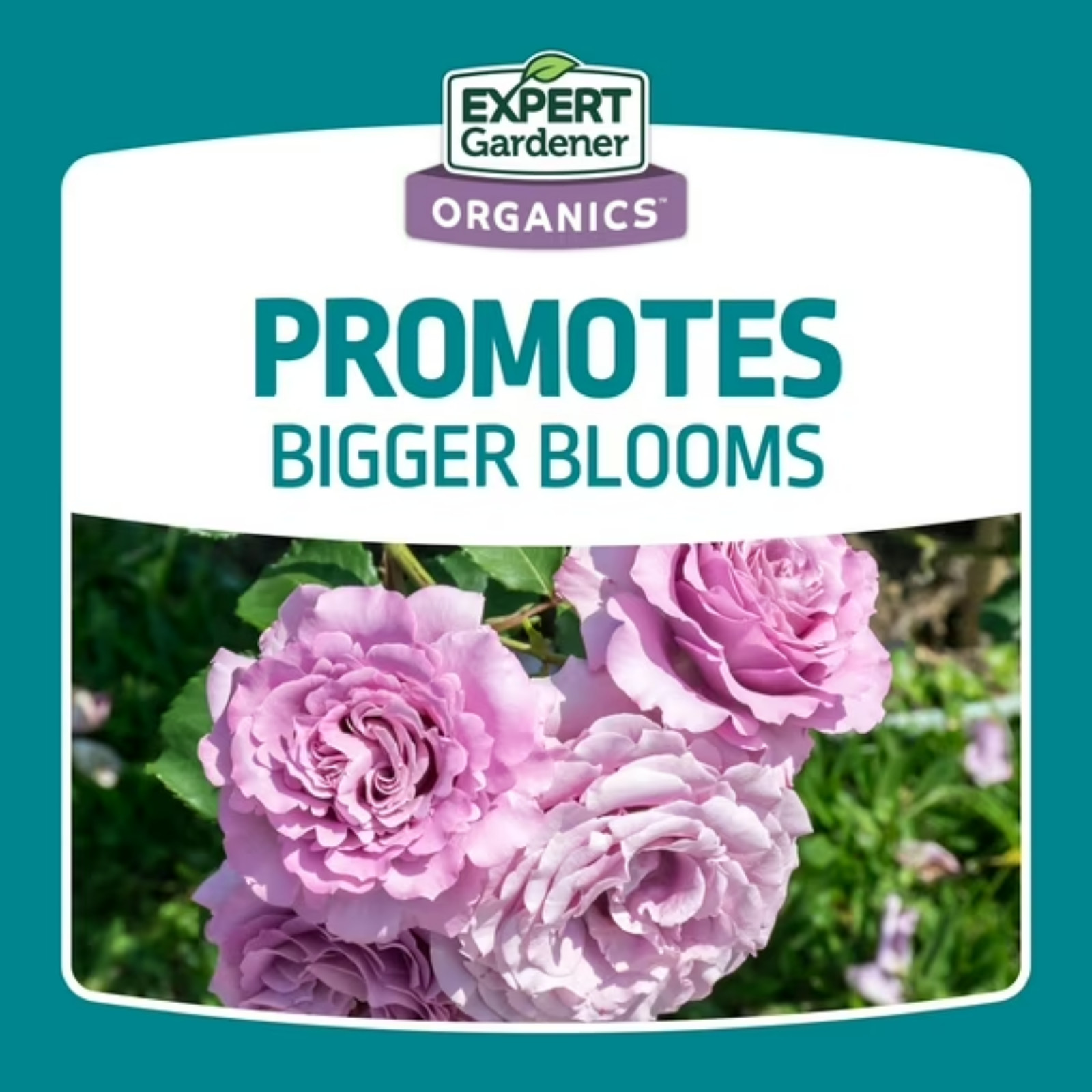 (2 Pack) Expert Gardener Bone Meal Plant Food 4 lb – 3-15-0 Fertilizer – NEW