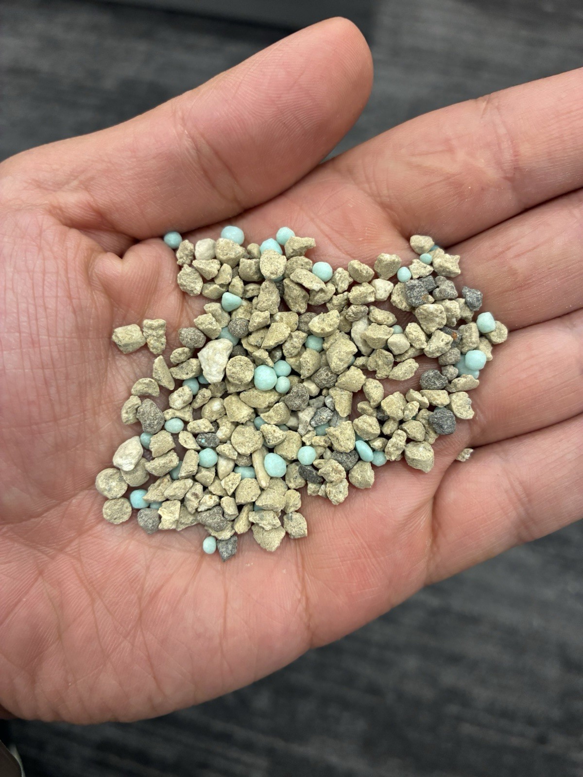 Slow Release fertilizer For Cactus Succulent Plant Soil, 1 Pound