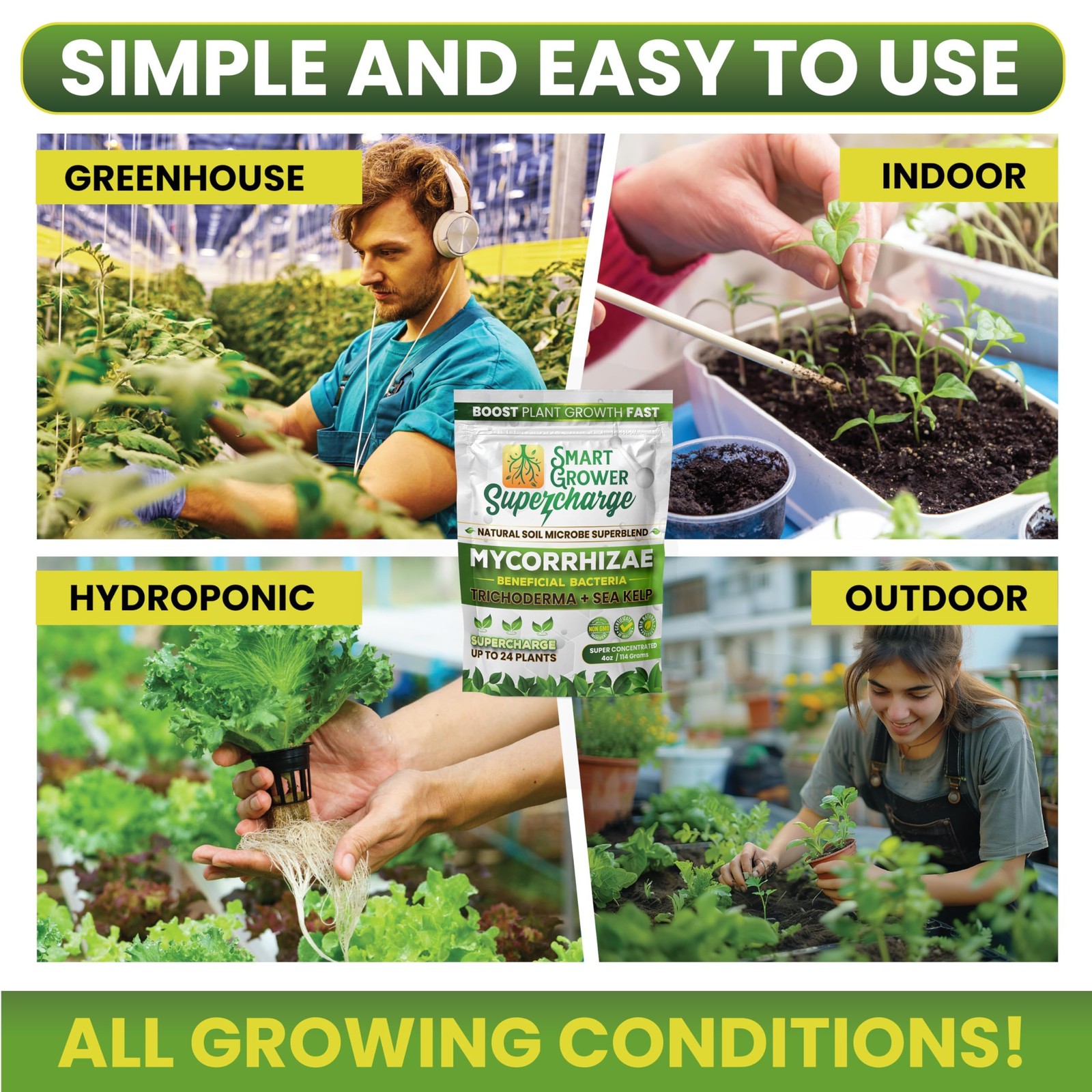 Mycorrhizal Fungi with Beneficial Bacteria, Trichoderma, Sea Kelp, Molasses, …