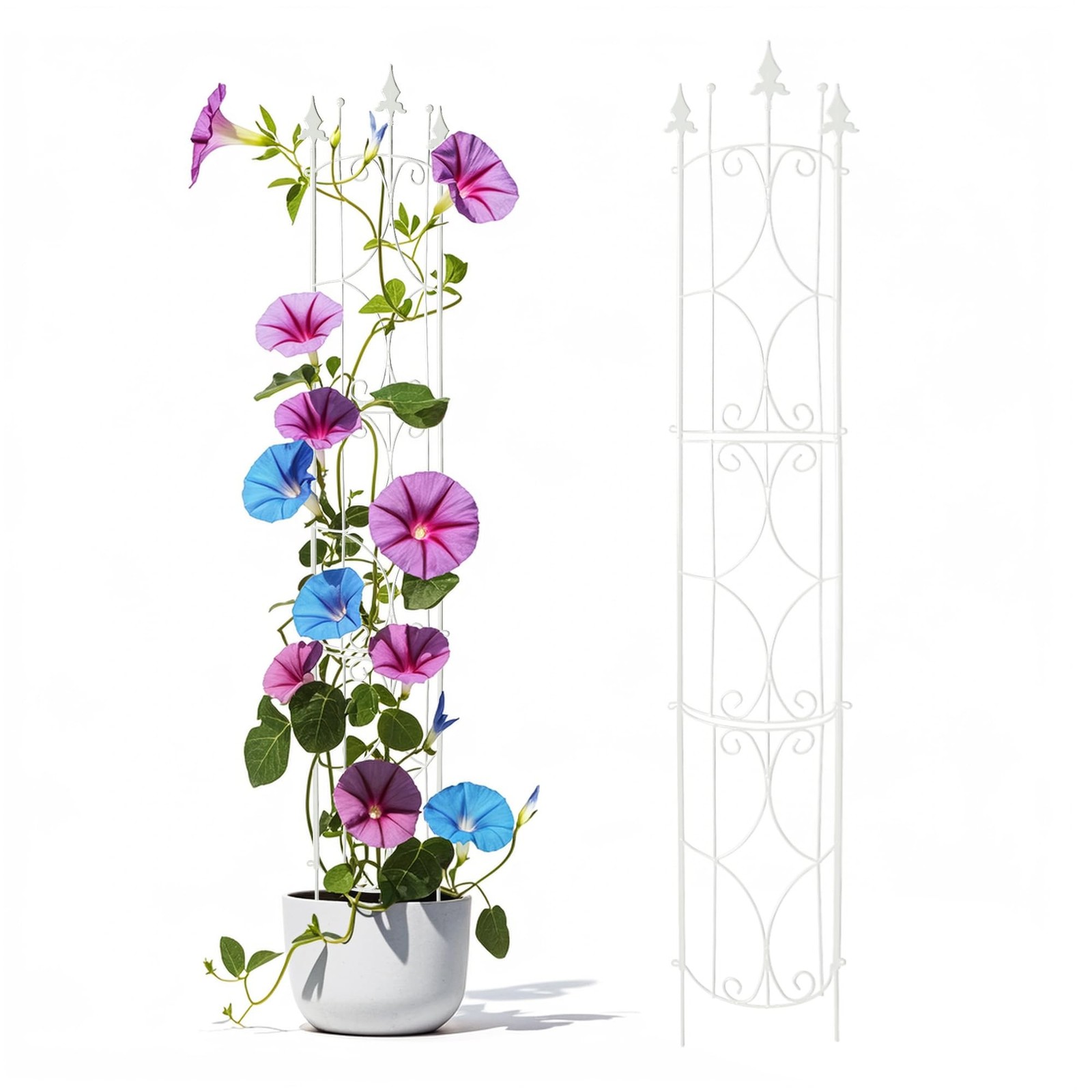 Thealyn Garden Trellis 2 Pack 72” H x 12” W Metal Plant Trellis Indoor/Outd…