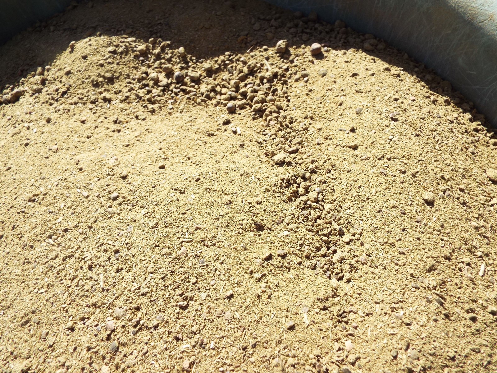 Dried Sheep Manure – ONE POUND (1 lb) – Fine Ground Ready for Use