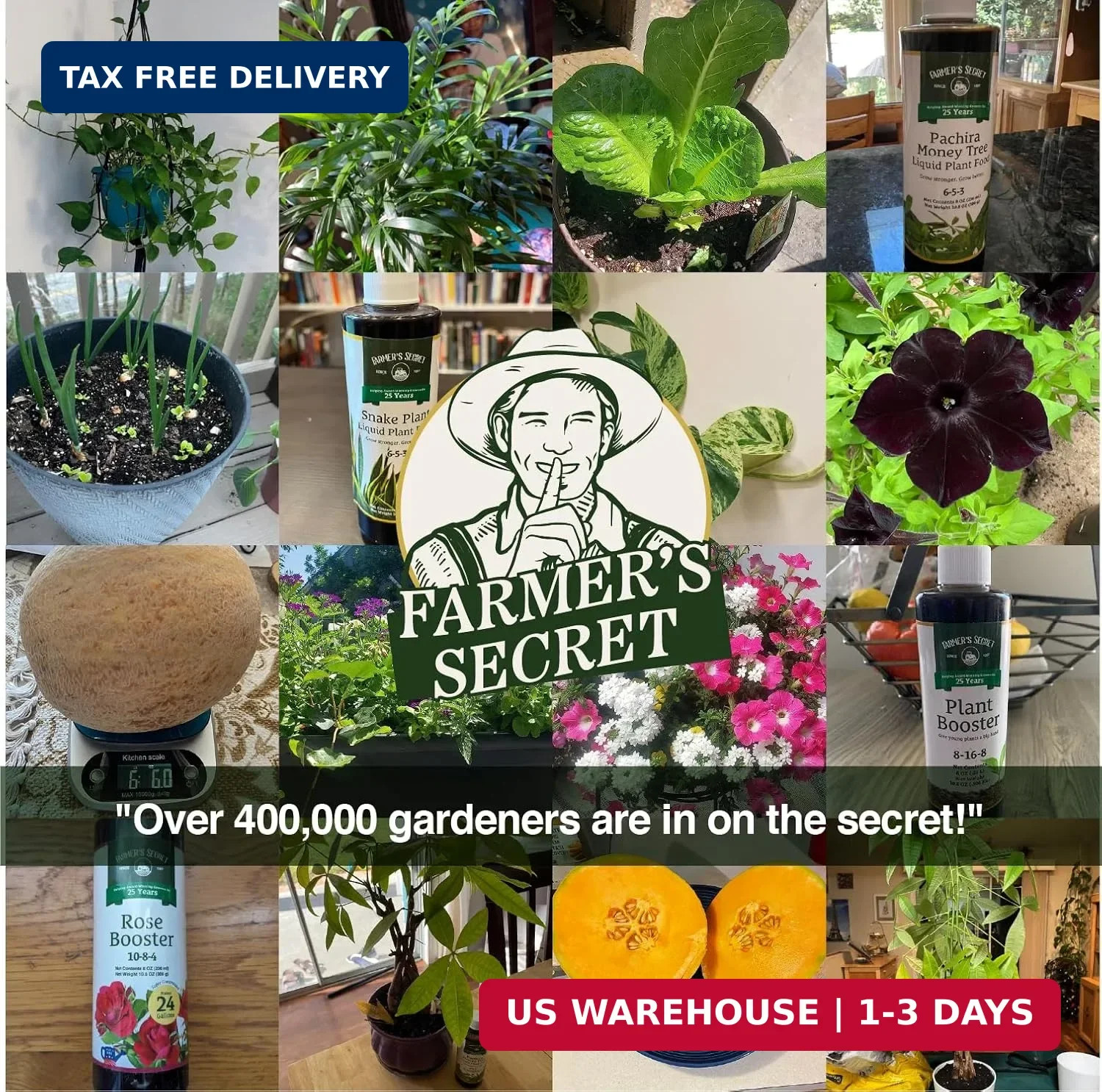Farmer’S Secret Fruit & Bloom Booster Fertilizer (16Oz) – Super Concentrated….