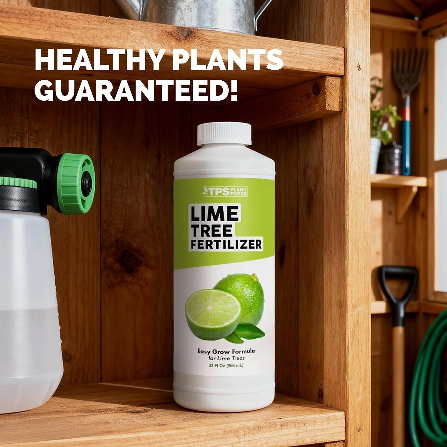 Lime Tree Fertilizer – Liquid Plant Food for More Fruit, Better Flowering & Stro