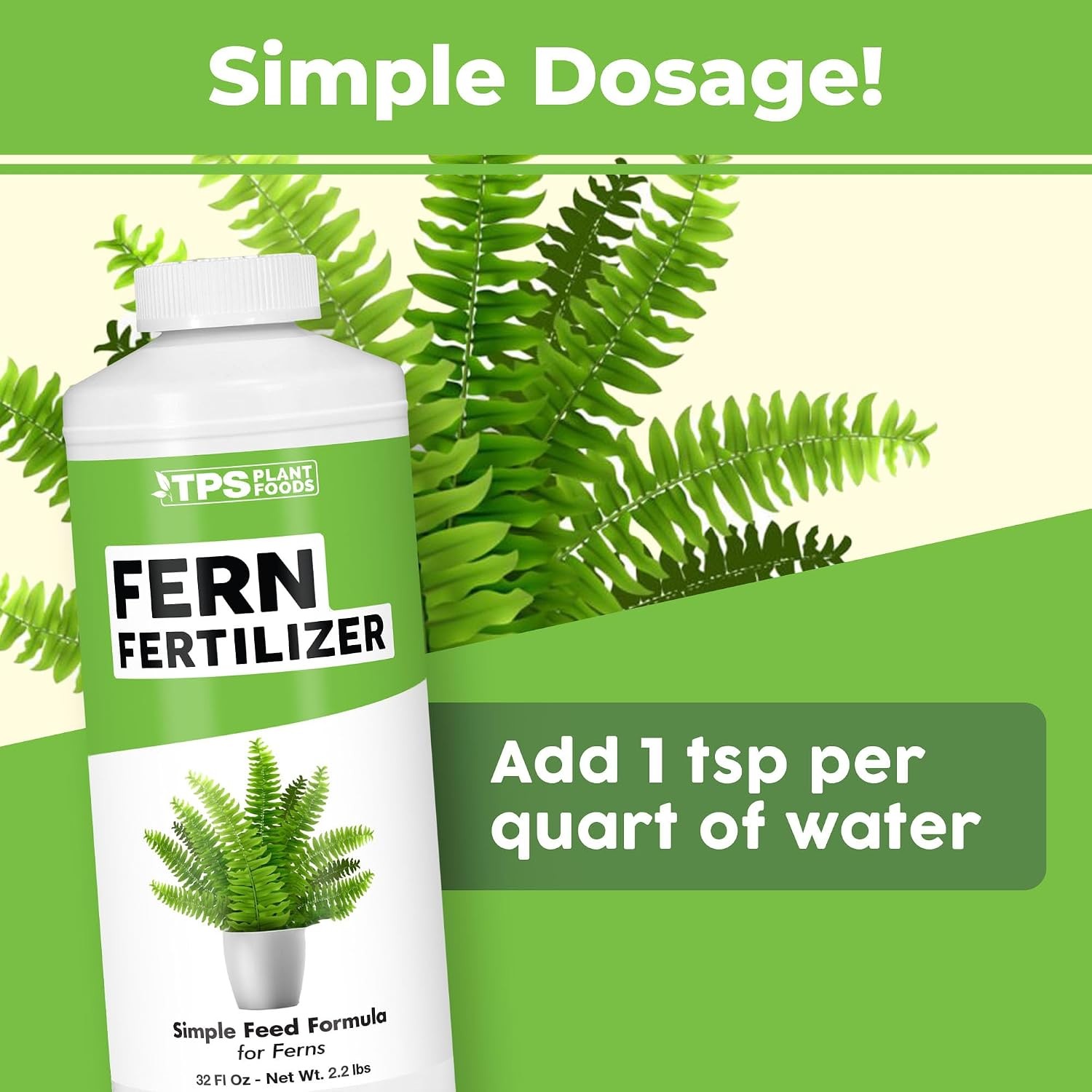 Fern Fertilizer – Liquid Plant Food for Fuller Fronds Deep Green Color & Lush