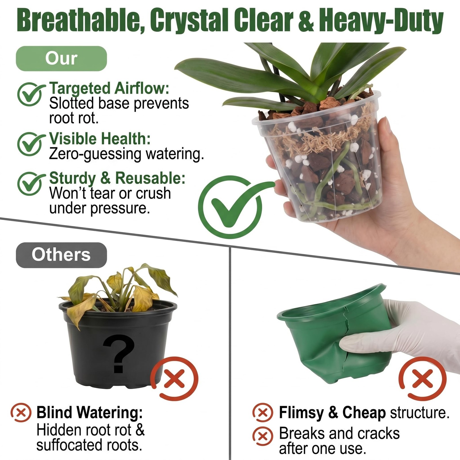 Root-Safe Clear Plant Pots for Indoor: Zero Transplant Shock for Orchids | 1K…