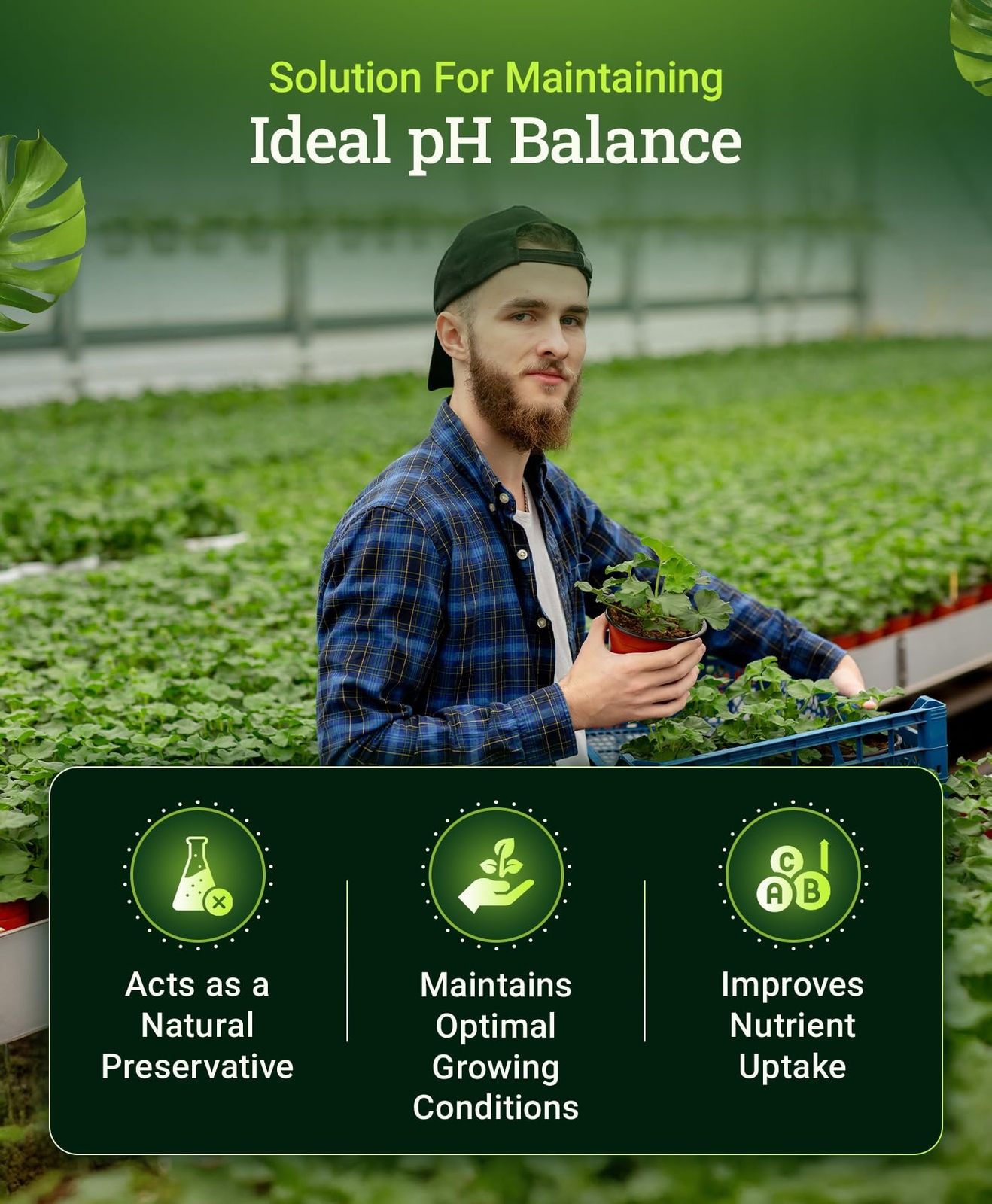 Cultivation Nation pH Down Fertilizer 1 Pint for Plant Growth pH 5.6 to 6.8