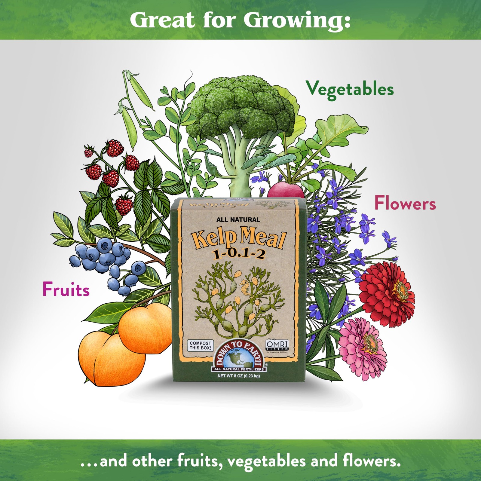 Down To Earth All Natural Fertilizers Organic Kelp Meal – Plant Food with Sea…