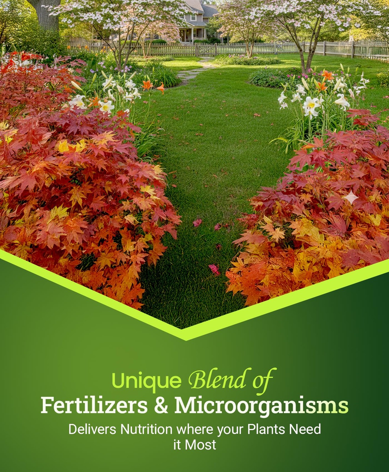 FoxFarm Happy Frog Japanese Maple Fertilizer Supports Vegetative Growth & Strong