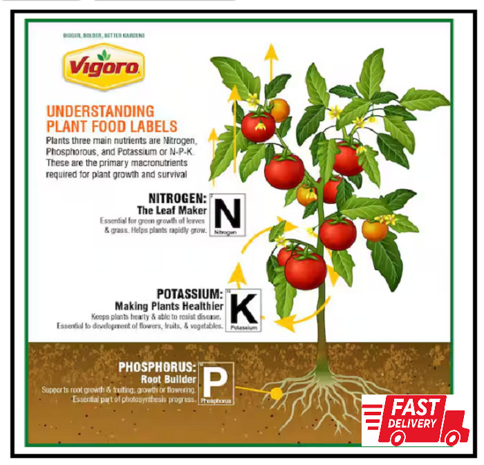 Vigoro Lawn Fertilizer 29-0-4, 15,000 sq. ft., 42 lbs. Garden Lawn Food Feeds