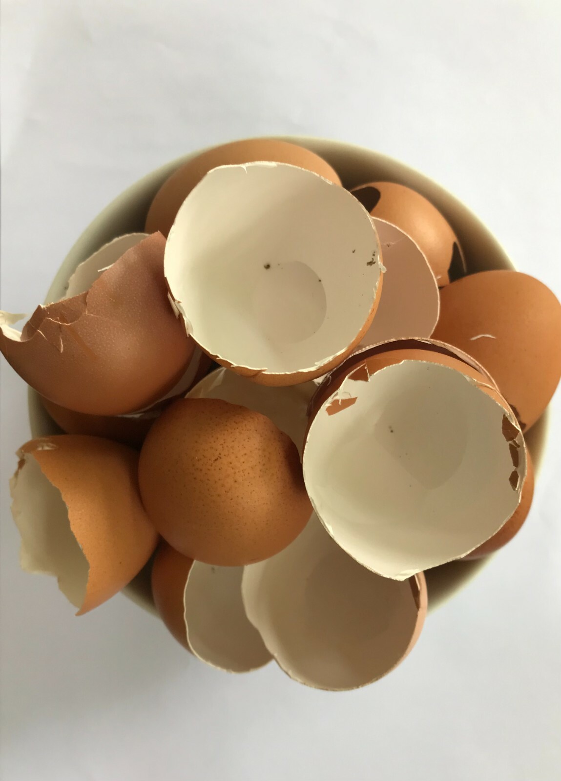 500g Crushed Egg Shell Garden Calcium Organic Fertilizer Pest Control Plant G