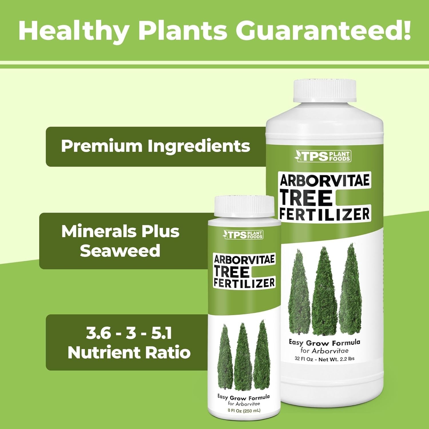 Arborvitae Tree Fertilizer for All Arborvitaes, Evergreen Shrubs and Thuja Trees