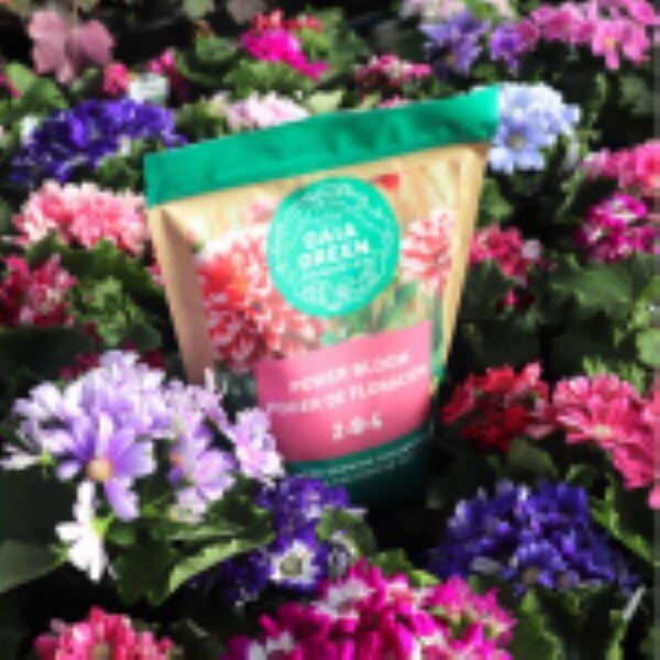 Gaia Green GAGPB500GP 500 G Bag of Power Bloom Organic Flower & Fruit Fertilizer