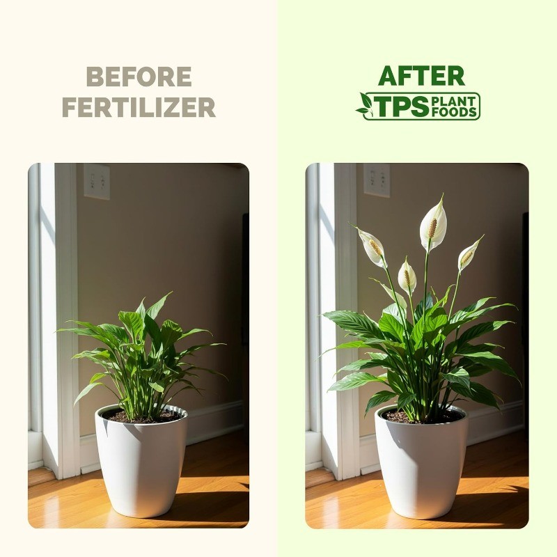 Liquid Plant Food Fertilizer Peace Lily More Blooms Deep Green Leaves 8 Oz New