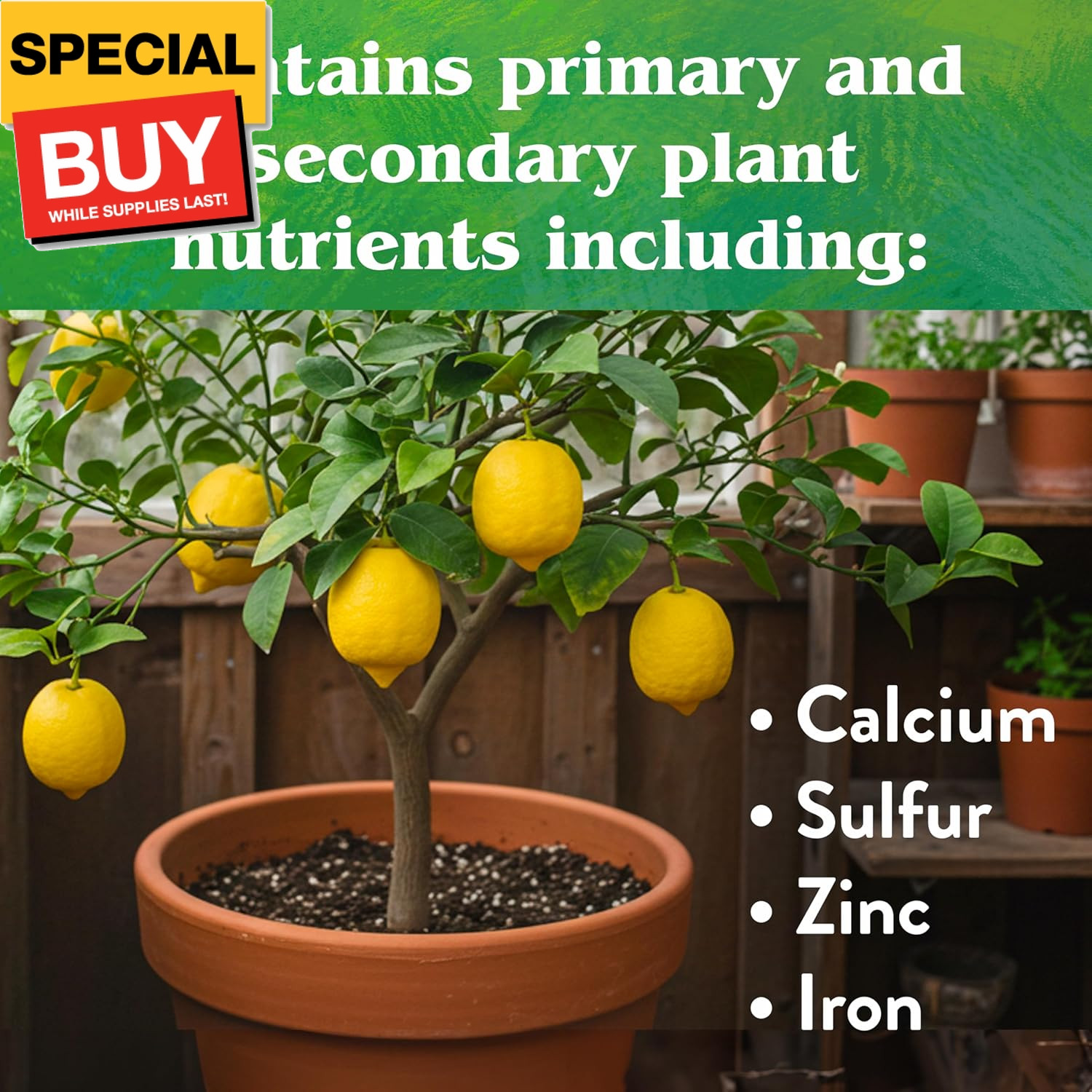Down to Earth Organic Citrus Fertilizer Mix 6-3-3, 1 lb
