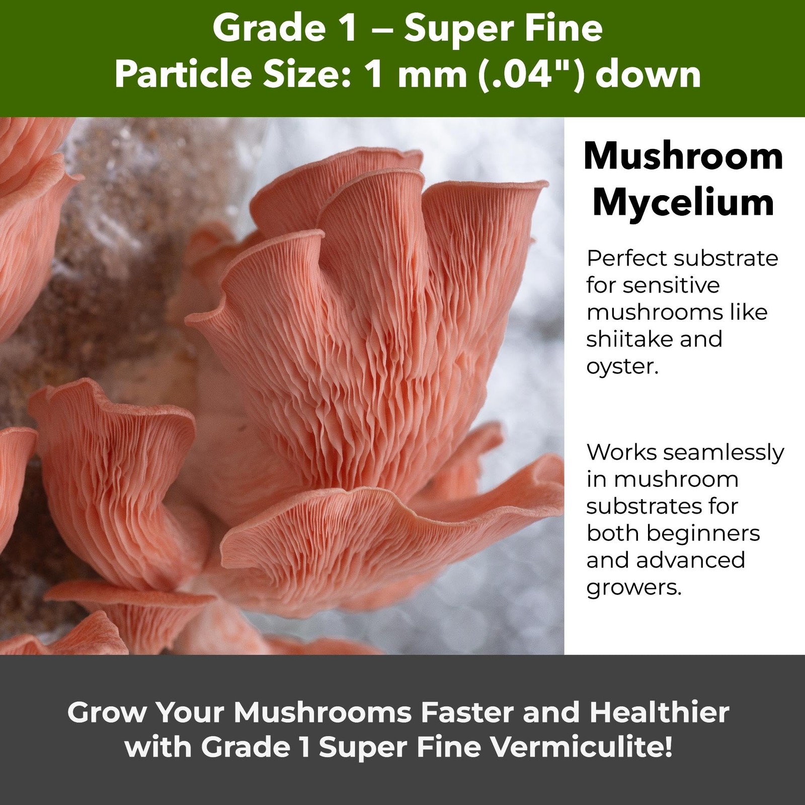 Organic Superfine Vermiculite for Indoor Gardening, Soil Aeration, and