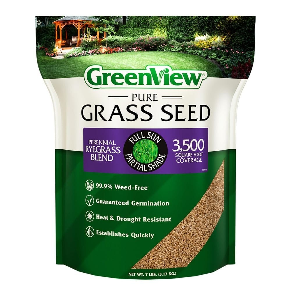7 Lbs. Pure Grass Seed Perennial Ryegrass Blend – Covers up to 3,500 Sq. Ft.