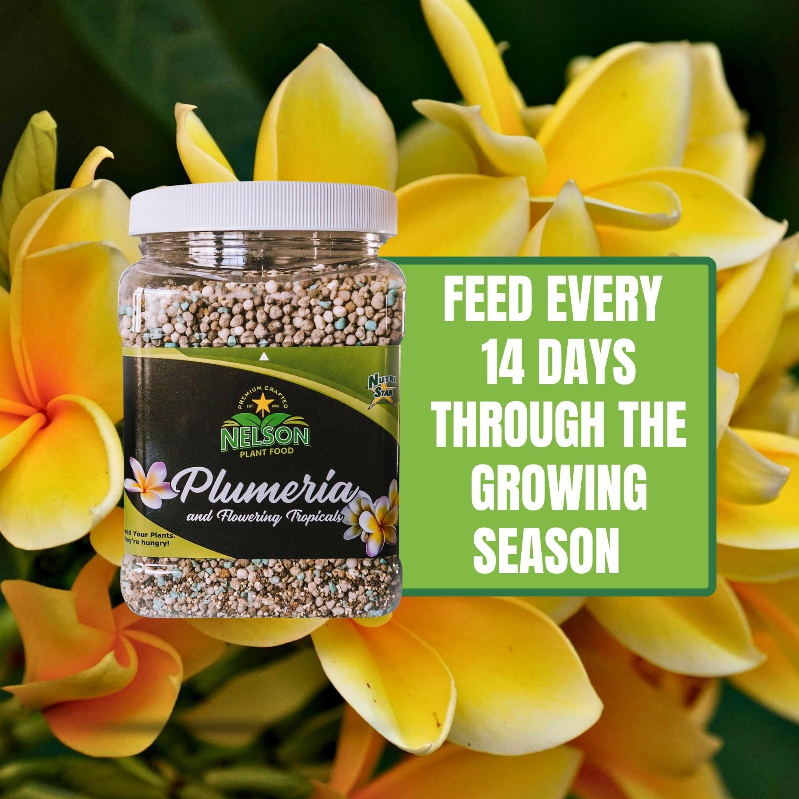 Plumeria Plant & Tropical Flower Fertilizer 5-30-5 for Ferns, Orchids, Lilies –