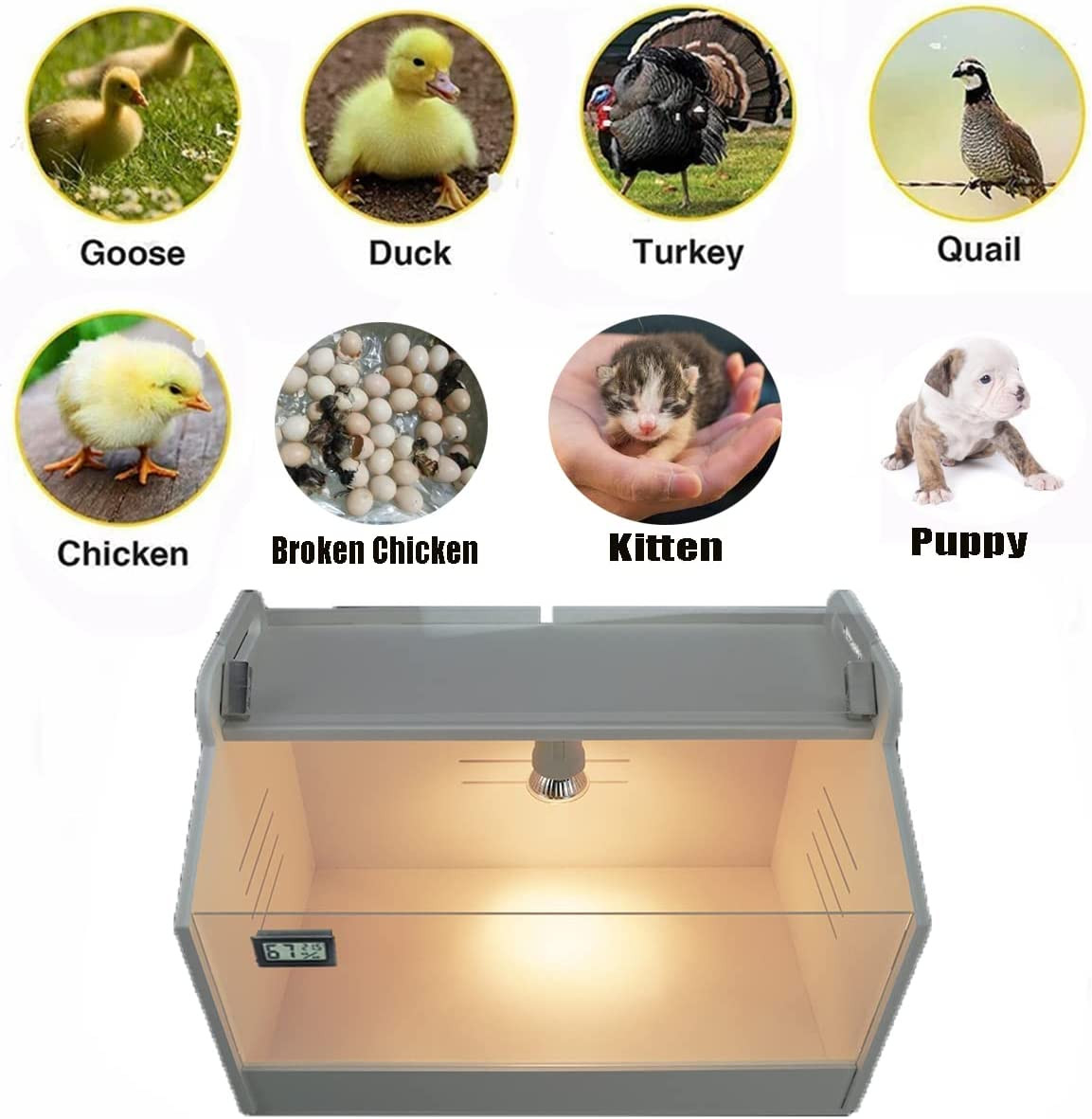 WIONBE Intelligent Brooder Box 10-15 Newborns Chicks Quail Birds Small Animals M