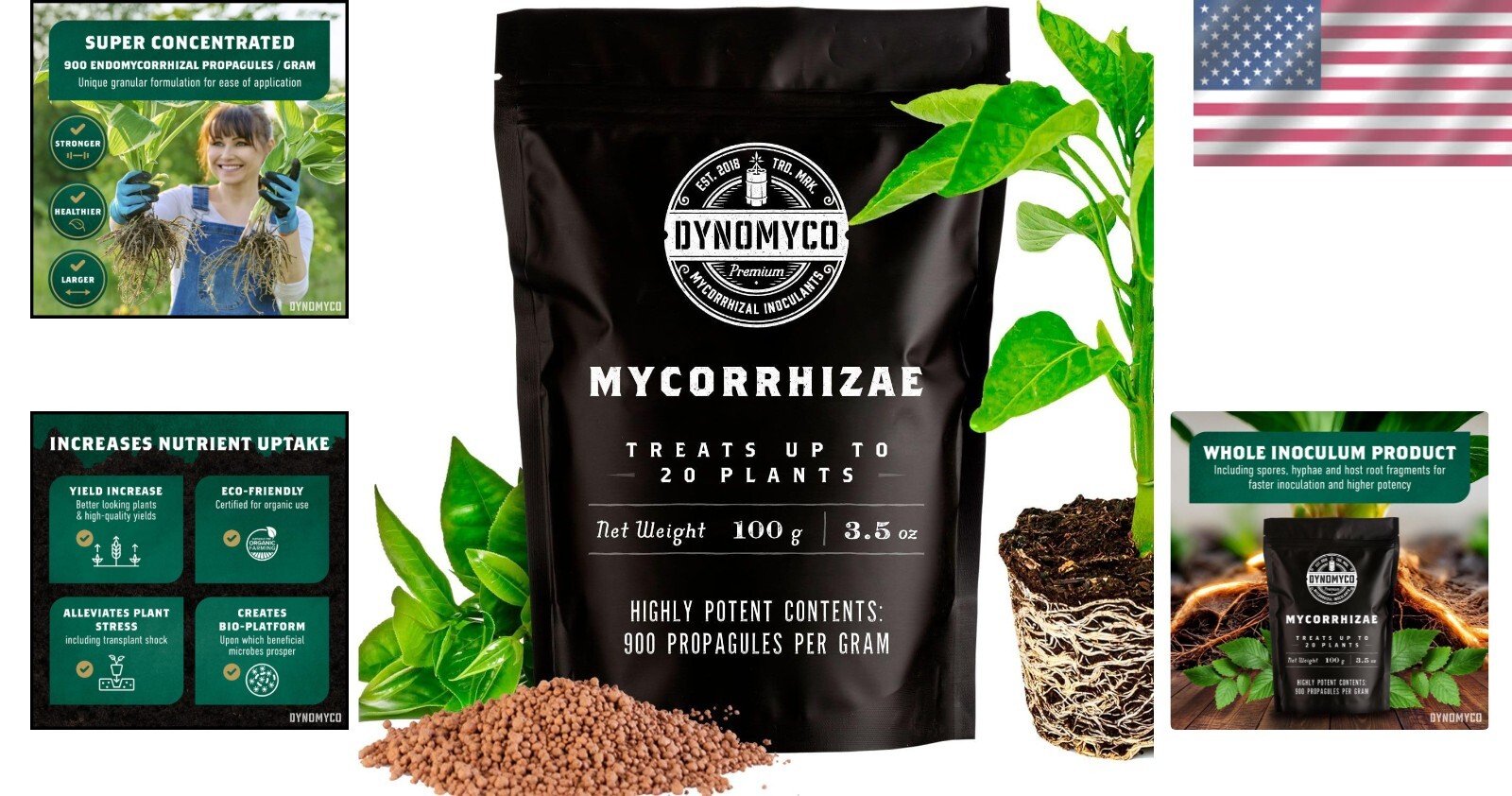 Mycorrhizal Inoculant – 100g Concentrate for Superior Nutrient Uptake & Yields