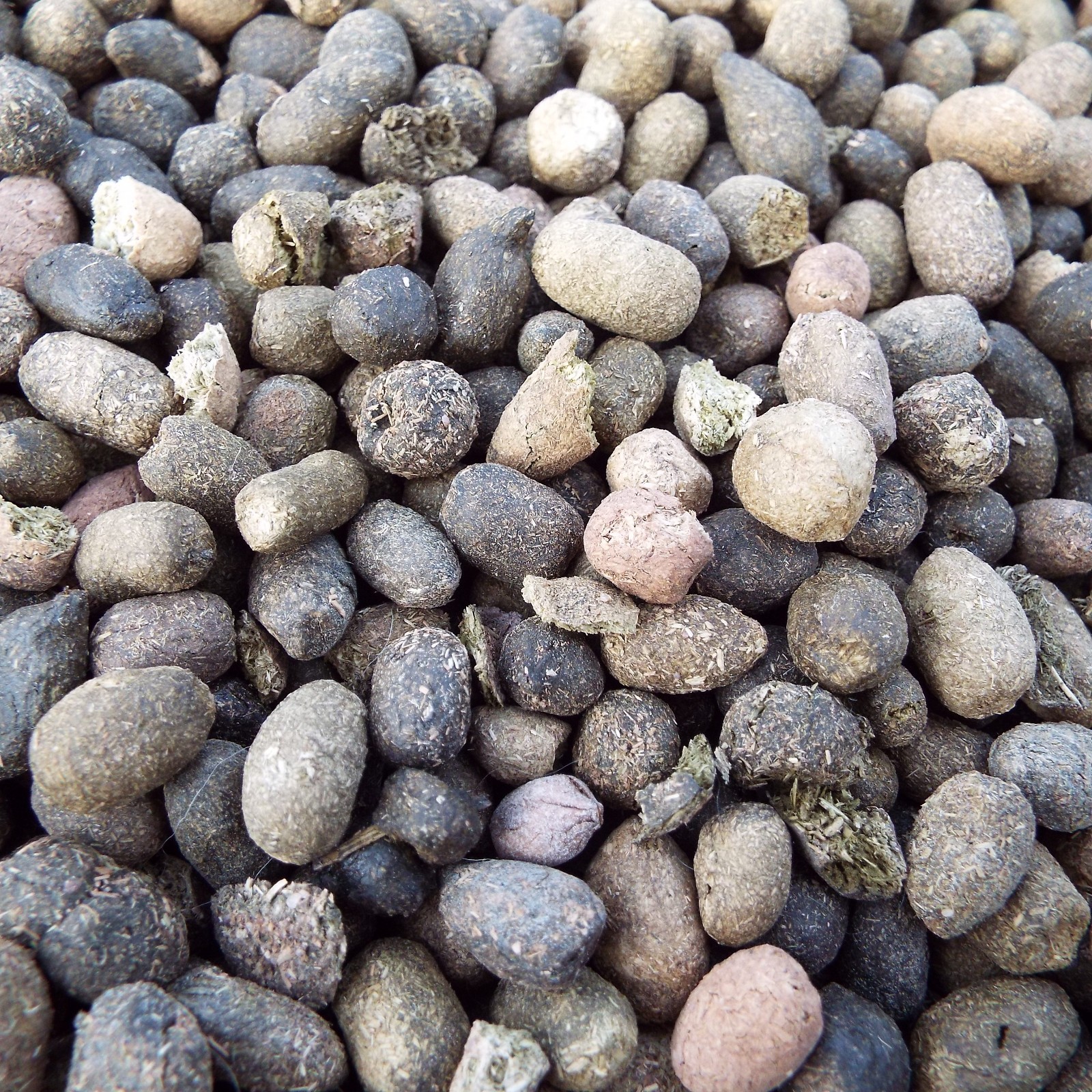 Organic Dried Sheep Manure, BULK Manure – THREE POUNDS