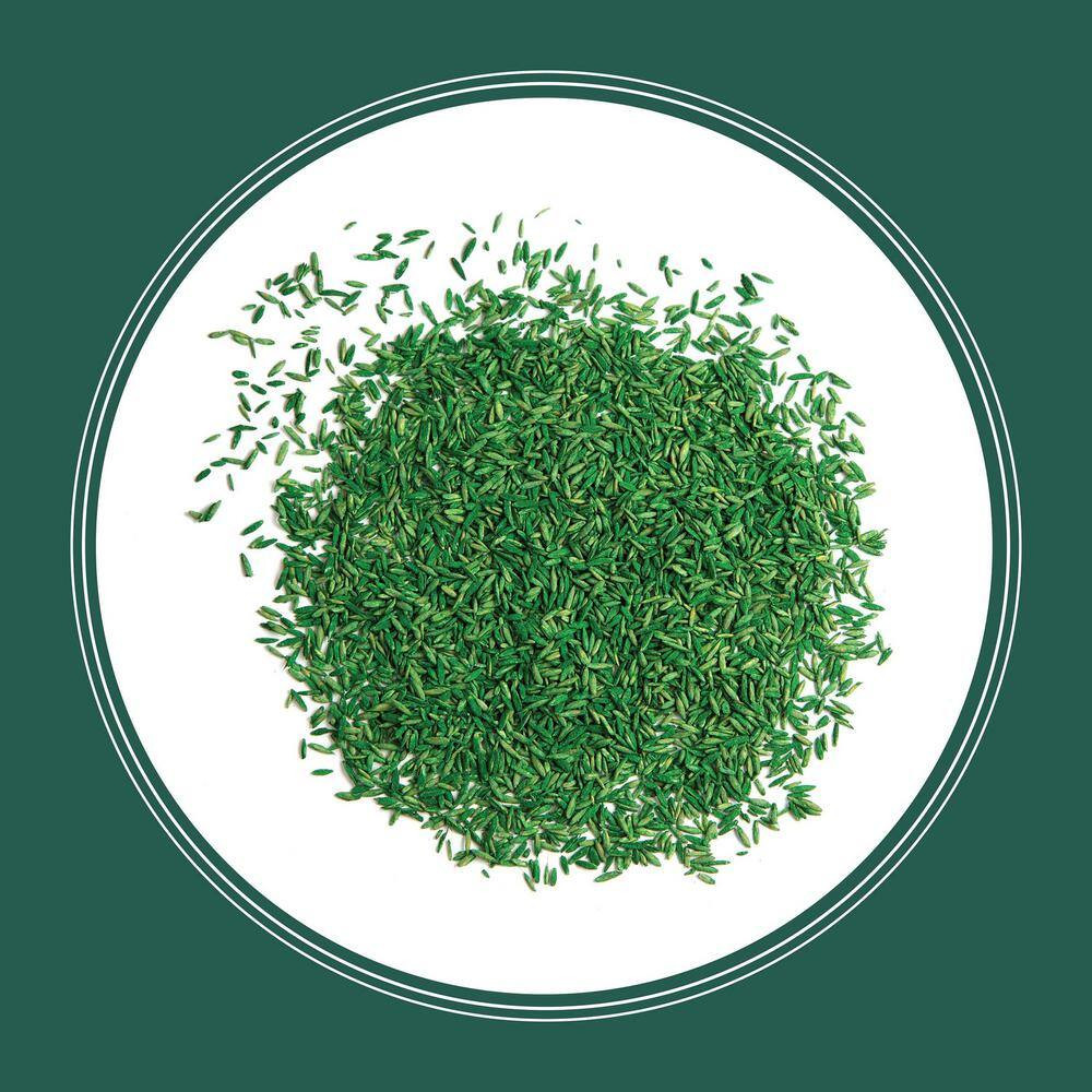 Smart Seed Sun and Shade North 3 Lb. 750 Sq. Ft. Grass Seed and Lawn Fertilizer