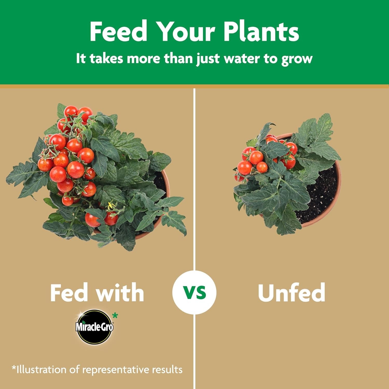 Miracle-Gro Water Soluble Tomato Plant Food, 1.5 lb – Boosts Growth Safely
