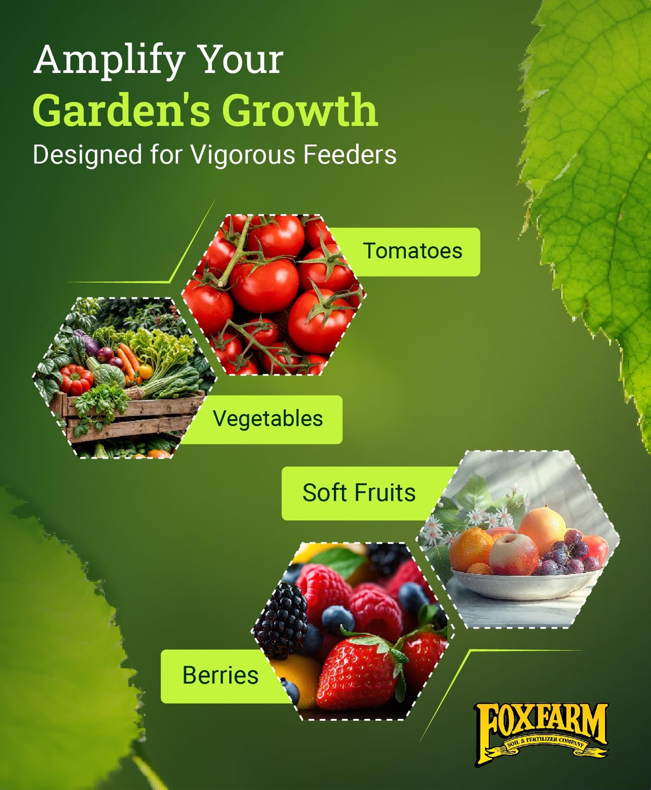FoxFarm Happy Frog Garden Tomato and Vegetable Soil Dry Plant Fertilizer Mix