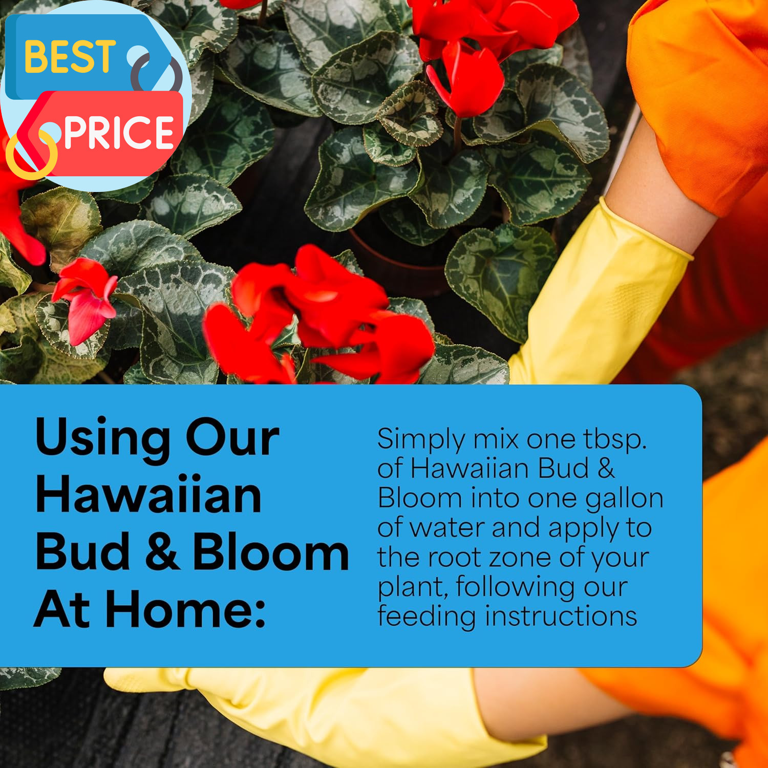 Urea-Free Hawaiian Bud and Bloom 5-50-17 Fertilizer – 1.5Lbs of Water Soluble Bl