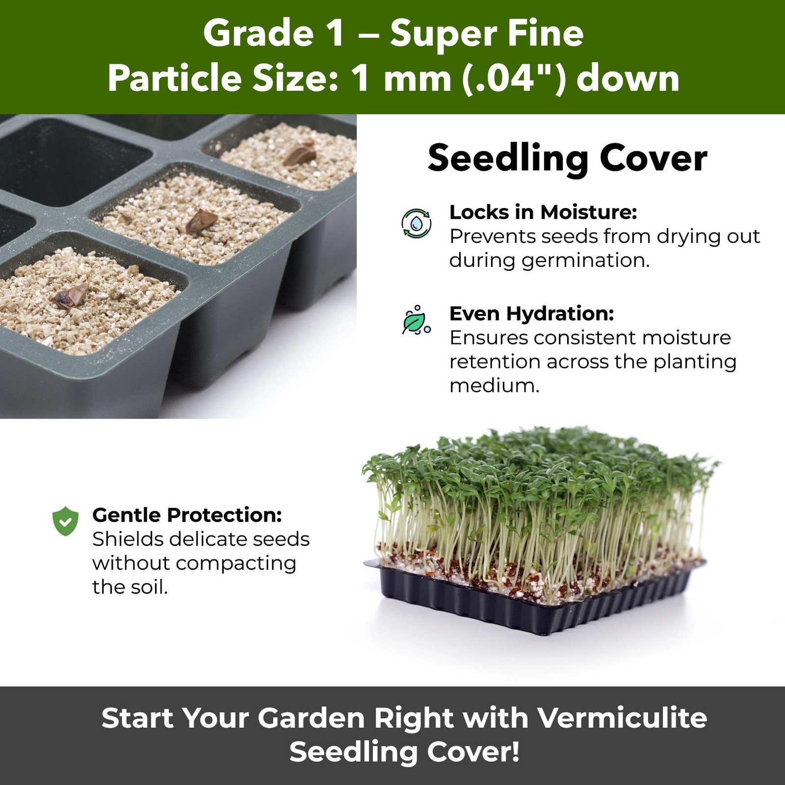Organic Superfine Vermiculite for Indoor Gardening, Soil Aeration, and