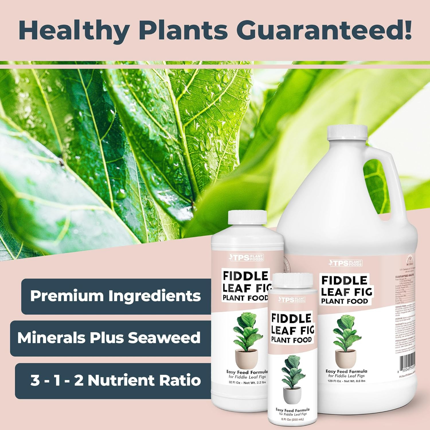 Fiddle Leaf Fig Plant Food – Liquid Plant Food for Bigger Leaves, Stronger Roots