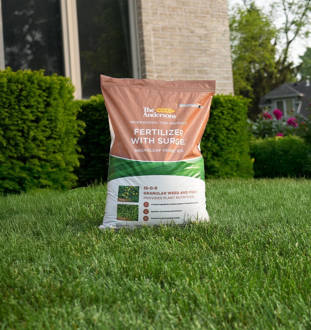 Surge Weed & Feed 40lb Granules 16k sq ft Control Fertilizer