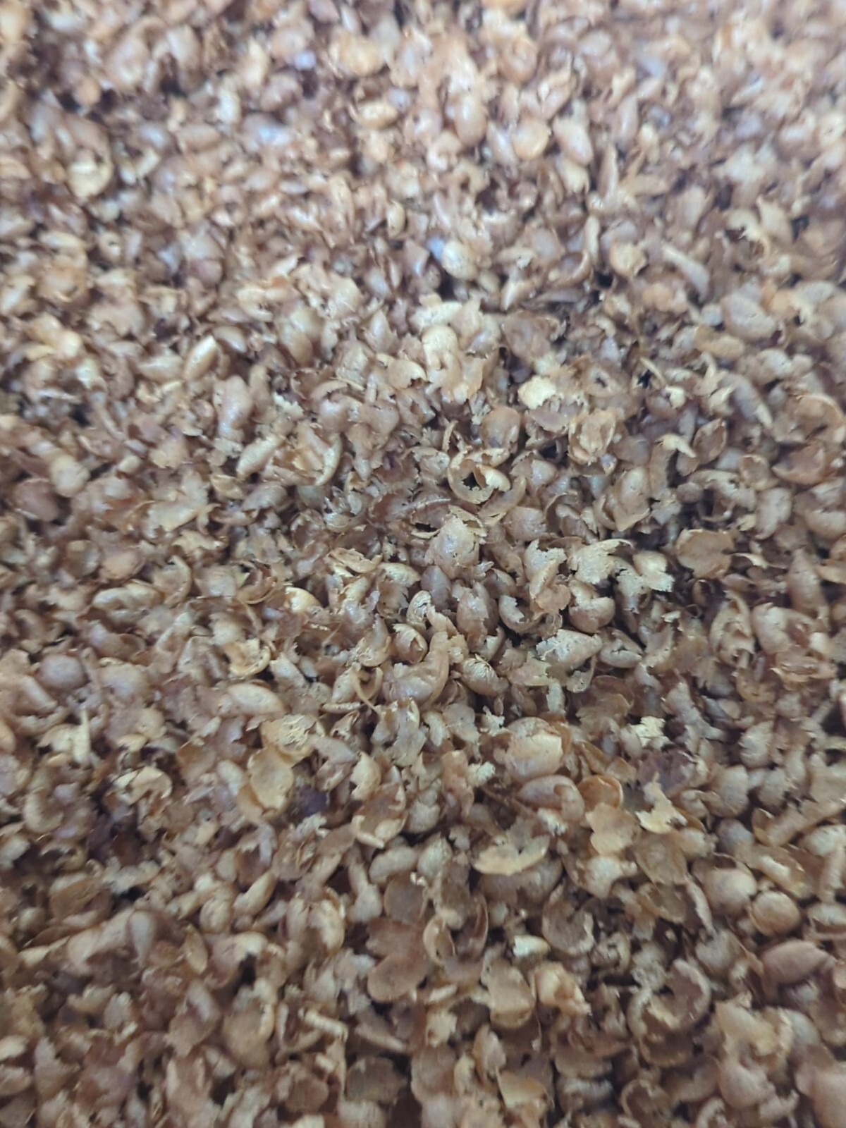 Coffee Chaff