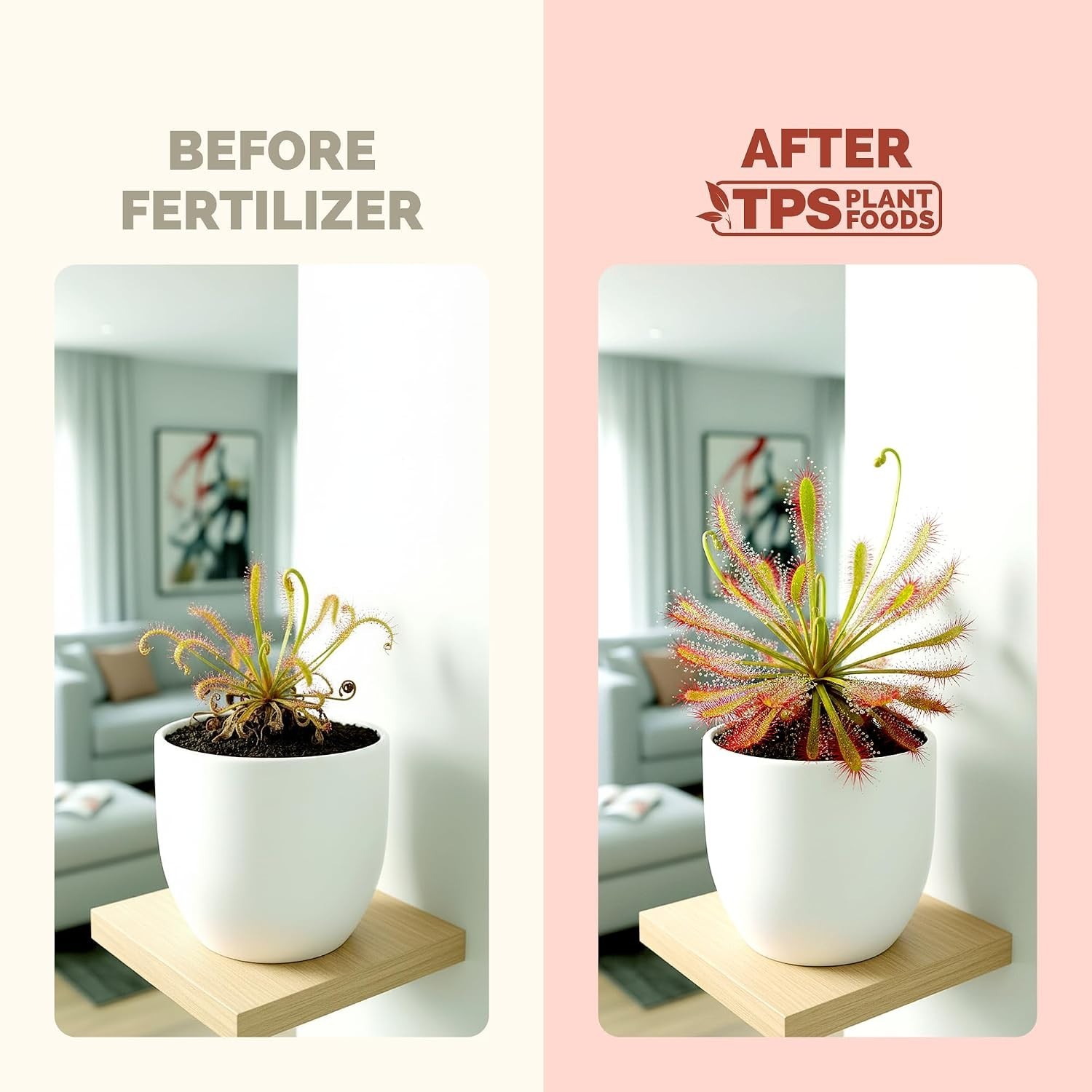 Carnivorous Plant Fertilizer – Gentle Liquid Formula for Healthy Traps & Vibrant
