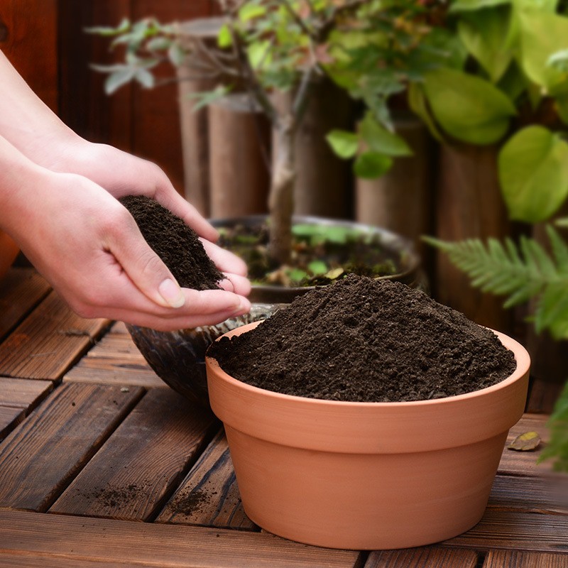 Organic Worm Castings Compost – Wiggle Worm Castings Fertilizer, Soil Builder